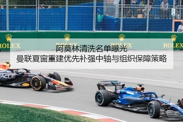 a-mo-lin-qing-xi-ming-dan-bao-guang-man-lian-xia-chuang-chong-jian-you-xian-bu-qiang-zhong-zhou-yu-zu-zhi-bao-zhang-ce-2-286.jpg