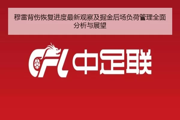 穆雷背伤恢复进度最新观察及掘金后场负荷管理全面分析与展望