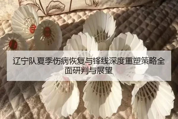 liao-ning-dui-xia-ji-shang-bing-hui-fu-yu-feng-xian-shen-du-zhong-su-ce-lve-quan-mian-yan-pan-yu-zhan-wang-2-263.jpg